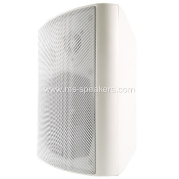Constant Voltage/Impedance ​PA Wall Speaker